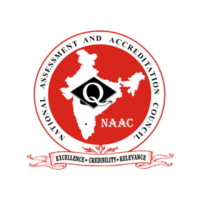 NSS Logo